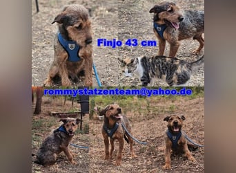 Finjo lässt sich gut motivieren