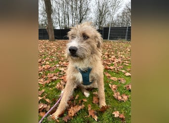 Taina sucht ihr für immer Zuhause