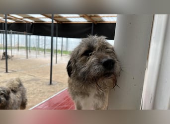 Thea – leise am Anfang, ganz groß im Herzen