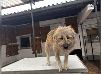 Thea – leise am Anfang, ganz groß im Herzen