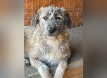 Thea – leise am Anfang, ganz groß im Herzen