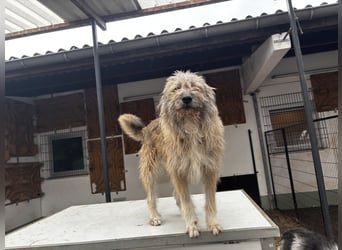 Thea – leise am Anfang, ganz groß im Herzen