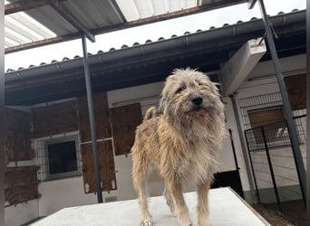 Thea – leise am Anfang, ganz groß im Herzen