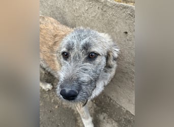 Thea – leise am Anfang, ganz groß im Herzen