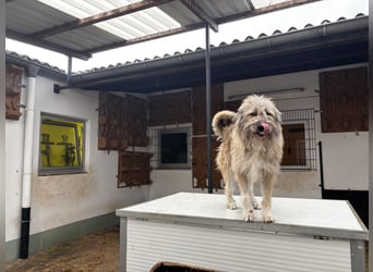 Thea – leise am Anfang, ganz groß im Herzen