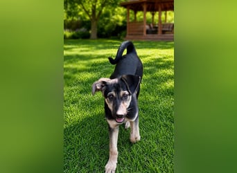 Lucy