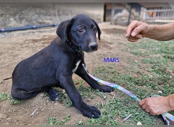 Mars