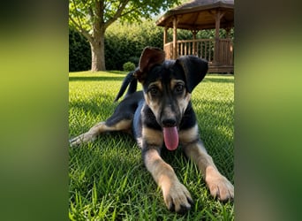 Lucy