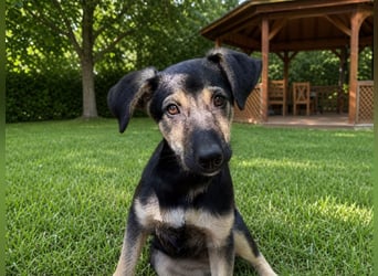 Lucy