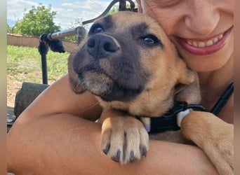 Sonja