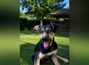 Lucy