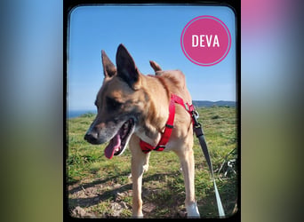 Deva