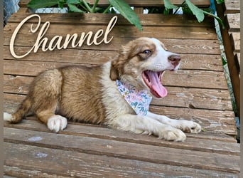 Channel