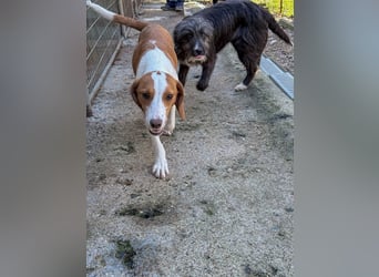 TAKITA lebensfroh, freundlich, für jeden Spaß zu haben