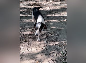 Sonnenschein AURELIO ist verspielt und neugierig auf die Welt