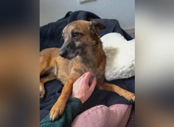 lernwillige NISHA wartet bereits in 91052 Erlangen auf ihre Herzensmenschen !