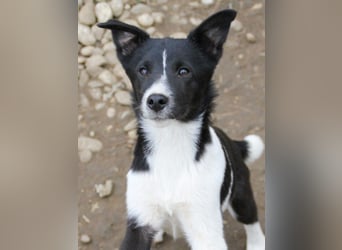 Charmante CHANTAL ist noch etwas zurückhaltend