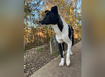 Charmante CHANTAL ist noch etwas zurückhaltend