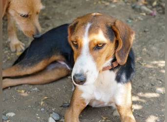 wunderschöne OFELIA, friedlich, liebevoll & ruhig