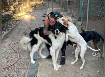 Knutschkugel TAKITA sucht Menschen zum Kuscheln und Spielen! Wie wär's mit dir?