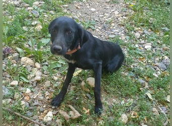 Black Beauty TEENA will mit dir ins richtige Leben starten!