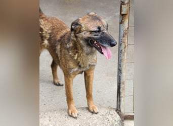 lustige NISHA wartet in 91052 Erlangen auf Dich 