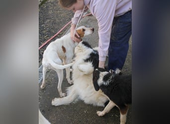 TAKITA lebensfroh, freundlich, für jeden Spaß zu haben