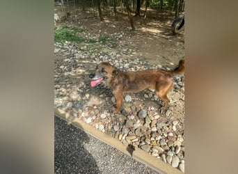 lustige NISHA wartet in 91052 Erlangen auf Dich 