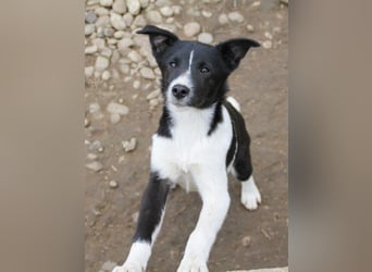 Charmante CHANTAL ist noch etwas zurückhaltend