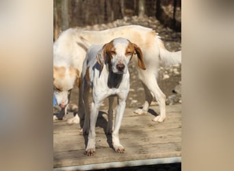 TAKITA lebensfroh, freundlich, für jeden Spaß zu haben