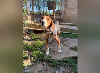 wunderschöne OFELIA, friedlich, liebevoll & ruhig