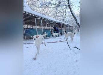 TAKITA - lebensfroh, freundlich, für jeden Spaß zu haben