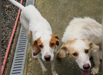 TAKITA - lebensfroh, freundlich, für jeden Spaß zu haben