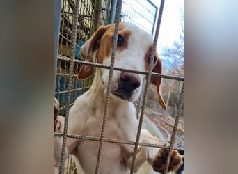 TAKITA - lebensfroh, freundlich, für jeden Spaß zu haben