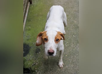 TAKITA lebensfroh, freundlich, für jeden Spaß zu haben