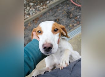 TAKITA - lebensfroh, freundlich, für jeden Spaß zu haben