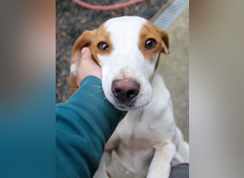 TAKITA - lebensfroh, freundlich, für jeden Spaß zu haben