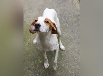 TAKITA lebensfroh, freundlich, für jeden Spaß zu haben