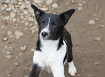 Charmante CHANTAL ist noch etwas zurückhaltend