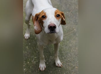 TAKITA - lebensfroh, freundlich, für jeden Spaß zu haben