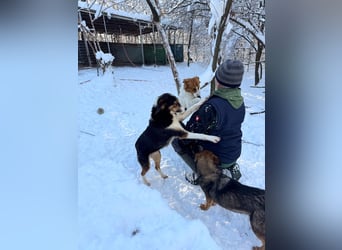 Gut gelaunte LOARA sucht Kuschelpartner fürs Leben