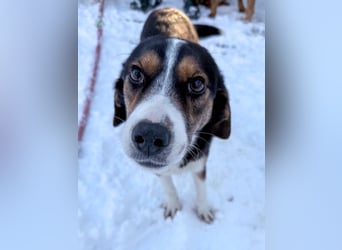 Gut gelaunte LOARA sucht Kuschelpartner fürs Leben