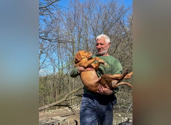 Freundlicher BARK möchte dich um seine hübschen Pfoten wickeln