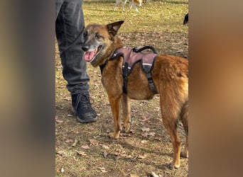 lernwillige NISHA wartet bereits in 91052 Erlangen auf ihre Herzensmenschen !