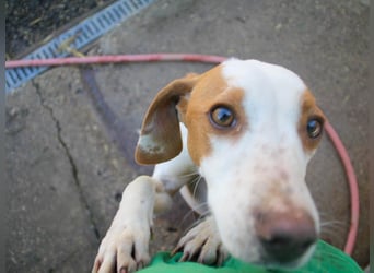 TAKITA lebensfroh, freundlich, für jeden Spaß zu haben