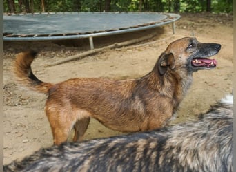 lustige NISHA wartet in 91052 Erlangen auf Dich 