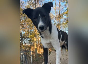 Charmante CHANTAL ist noch etwas zurückhaltend