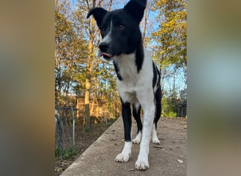 Charmante CHANTAL ist noch etwas zurückhaltend