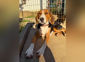 wunderschöne OFELIA, friedlich, liebevoll & ruhig