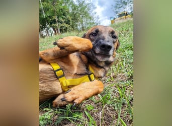 lustige NISHA wartet in 91052 Erlangen auf Dich 